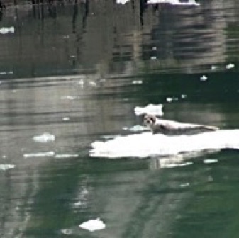 Screen Shot 2016-07-09 at 8.56.56 PM.jpg